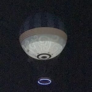 Meet your Posher, Shawn